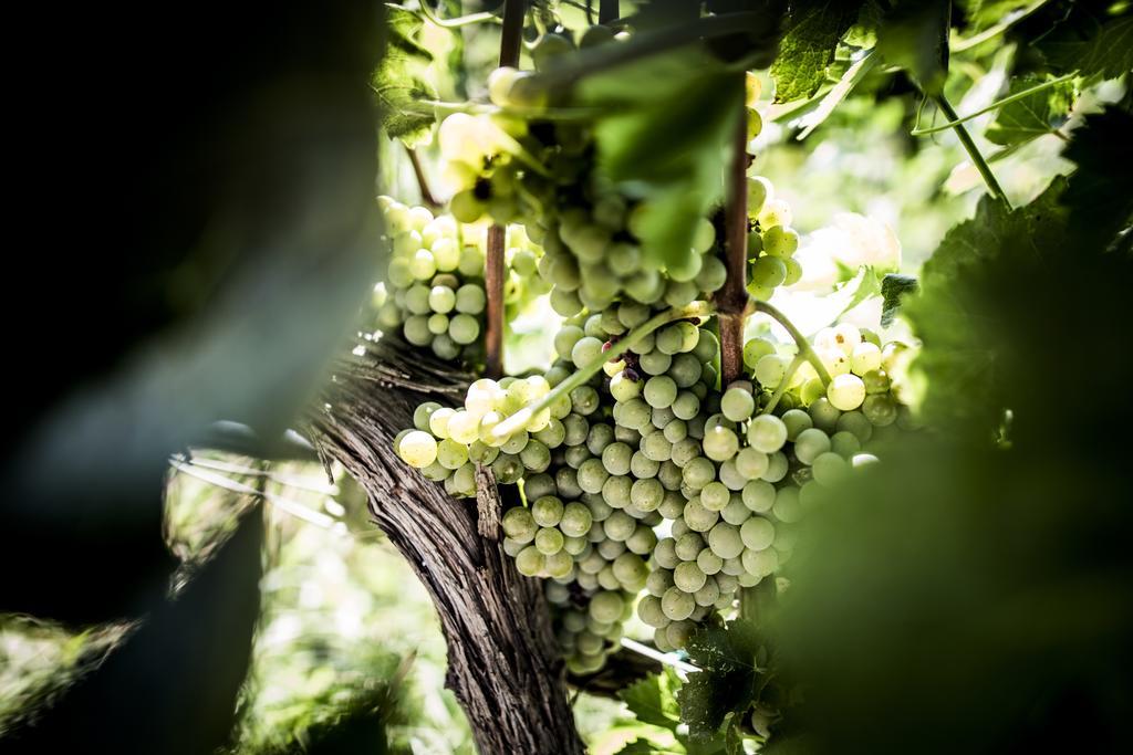 Agriturismo Il Giriatello Crotone Eksteriør billede