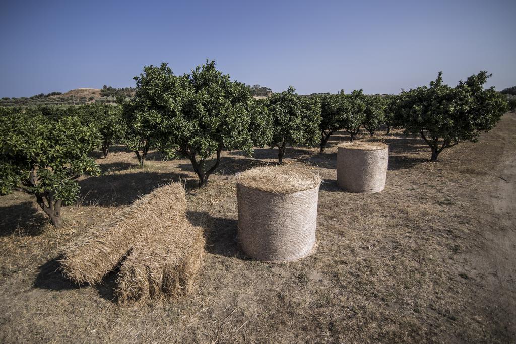 Agriturismo Il Giriatello Crotone Eksteriør billede