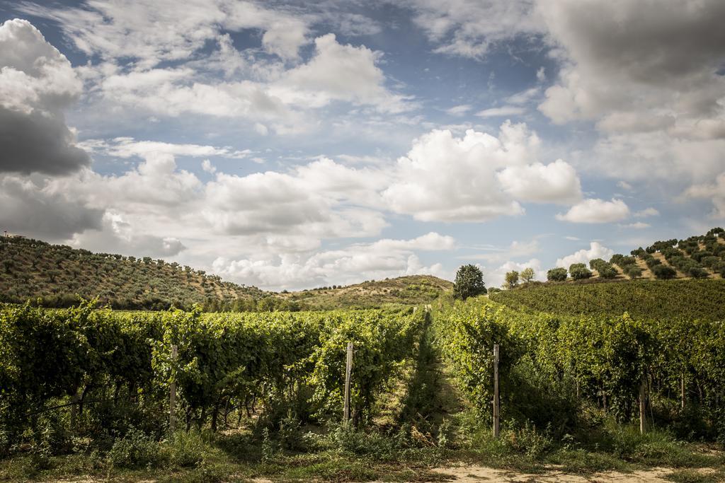 Agriturismo Il Giriatello Crotone Eksteriør billede