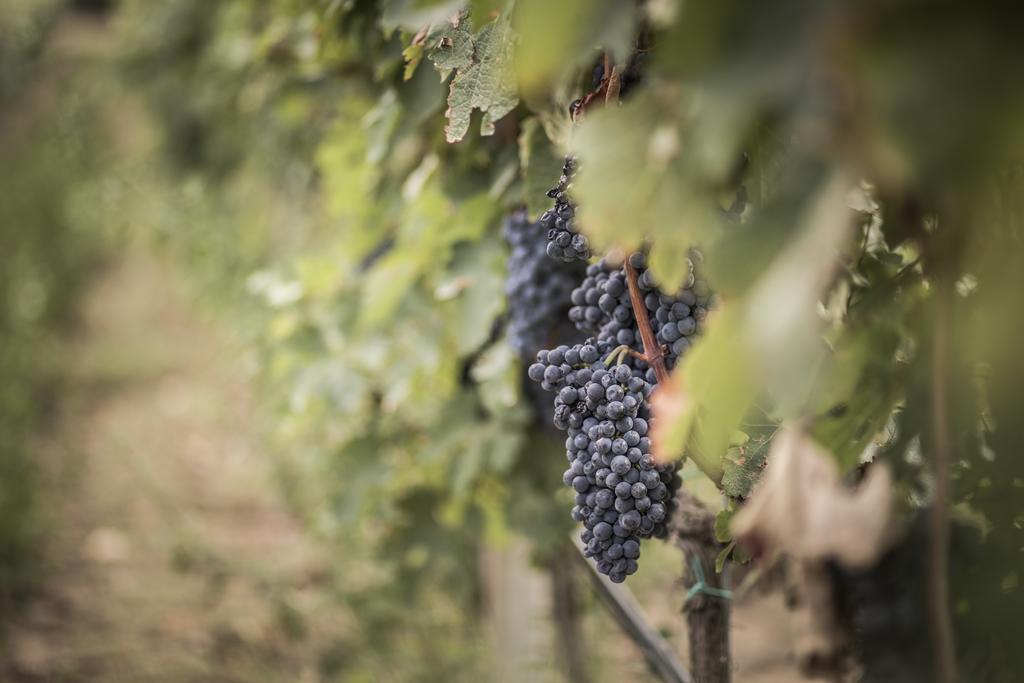 Agriturismo Il Giriatello Crotone Eksteriør billede