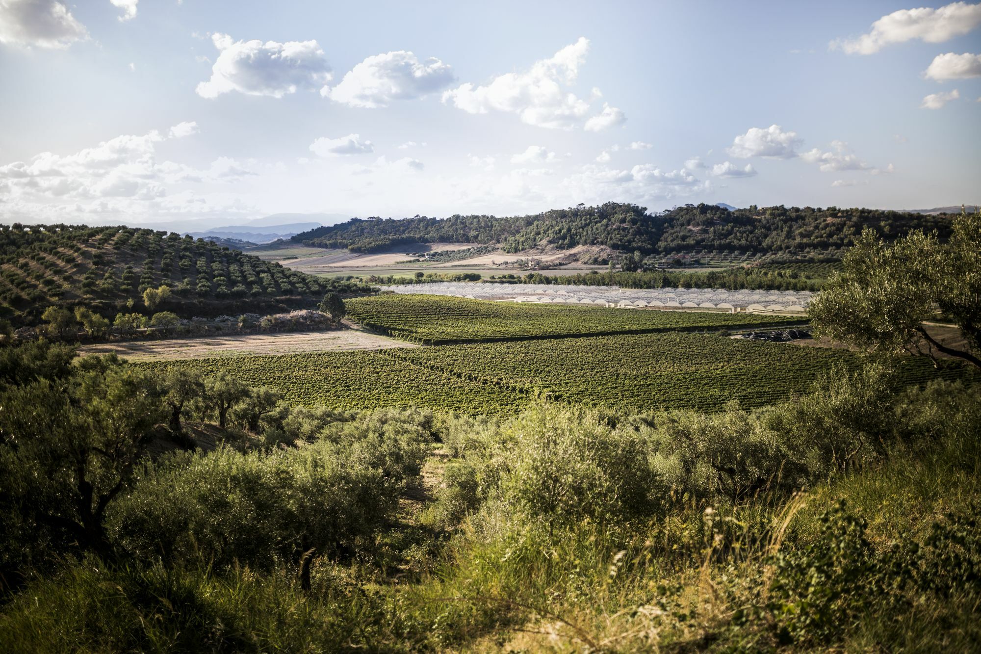 Agriturismo Il Giriatello Crotone Eksteriør billede